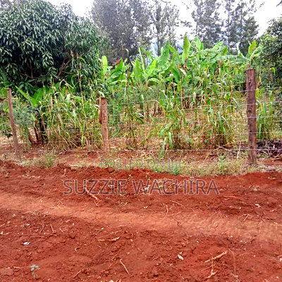 Makuyu 50*100ft Plots for Sale Near Muranga Teacher's - Image 3