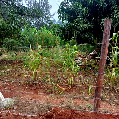 Makuyu 50*100ft Plots for Sale Near Muranga Teacher's - Image 4