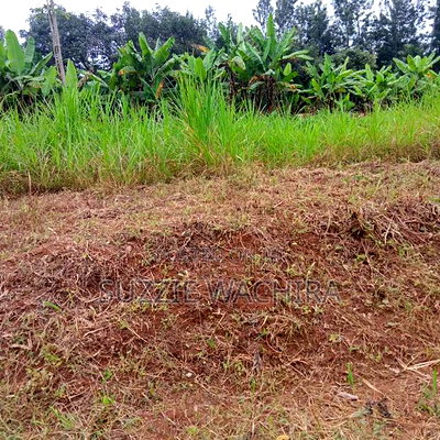 Makuyu 50*100ft Plots for Sale Near Muranga Teacher's - Image 1