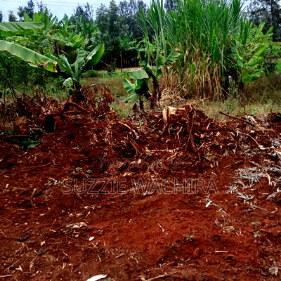 Makuyu 50*100ft Plots for Sale Near Muranga Teacher's - Image 9