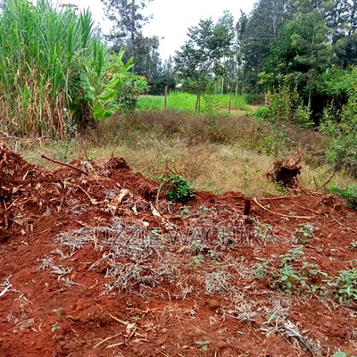 Makuyu 50*100ft Plots for Sale Near Muranga Teacher's - Image 5