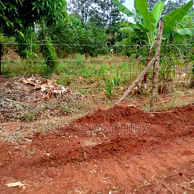 Makuyu 50*100ft Plots for Sale Near Muranga Teacher's - Image 8