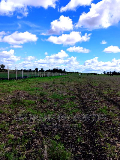 Isinya Prime Plots - Image 12