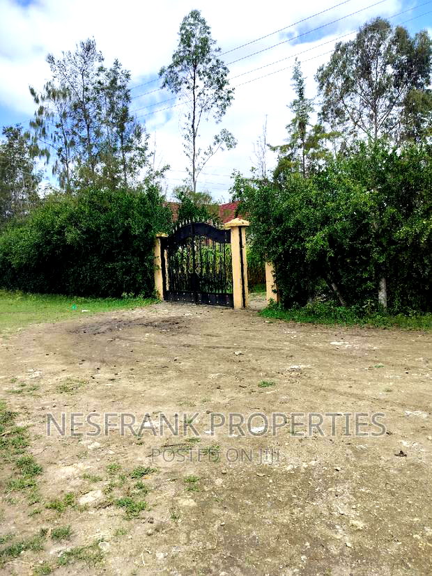 Isinya Prime Plots