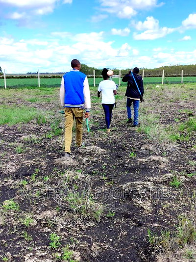 Isinya Prime Plots - Image 13