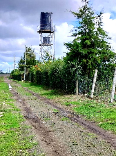 Isinya Prime Plots - Image 11