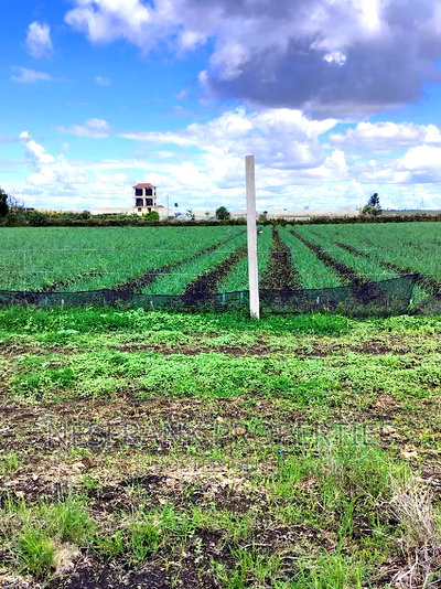 Isinya Prime Plots - Image 2