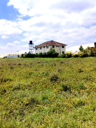 Isinya Prime Plots - Image 7