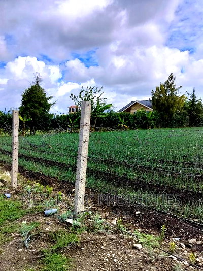 Isinya Prime Plots - Image 6