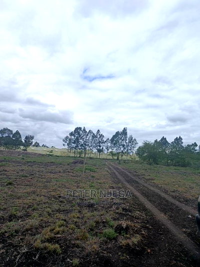 3 Acres in Freds Ranch Area - Image 4