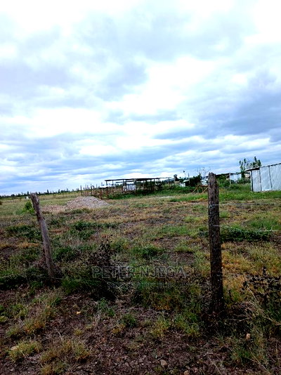 3 Acres in Freds Ranch Area - Image 12