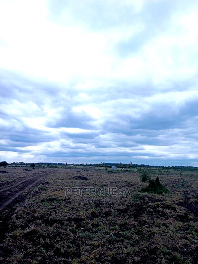 3 Acres in Freds Ranch Area - Image 15