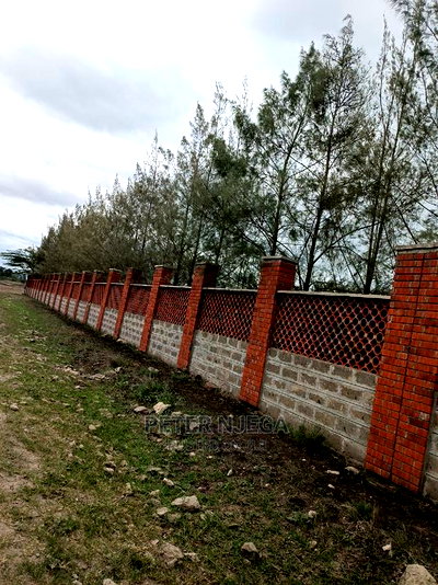 3 Acres in Freds Ranch Area - Image 8