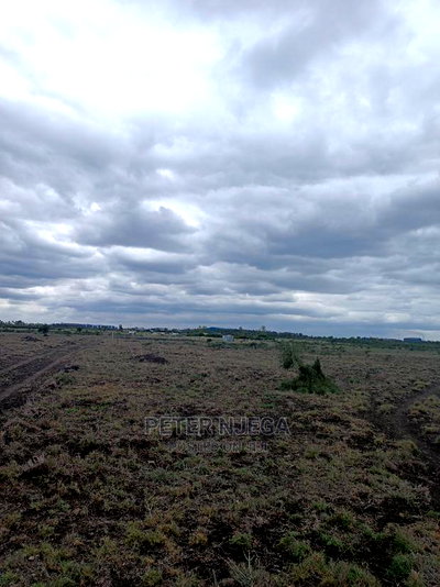 3 Acres in Freds Ranch Area - Image 1