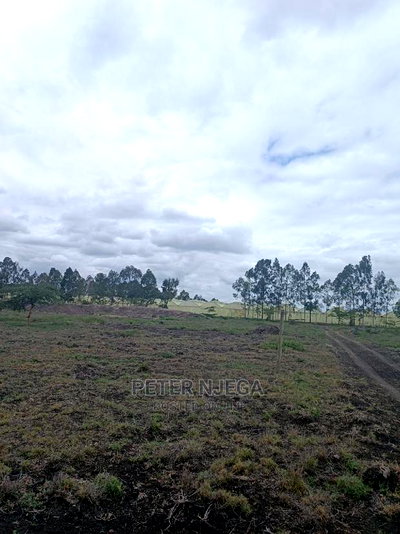 3 Acres in Freds Ranch Area - Image 6