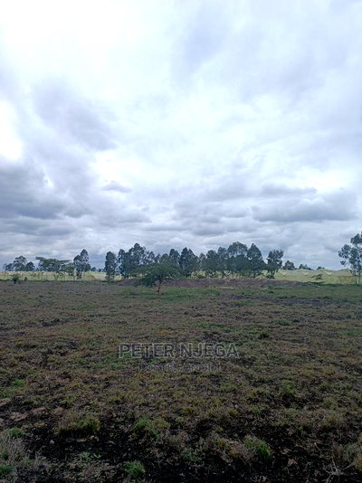 3 Acres in Freds Ranch Area - Image 3