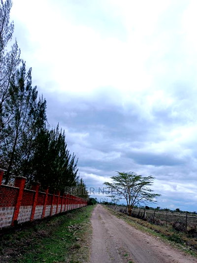 3 Acres in Freds Ranch Area - Image 9