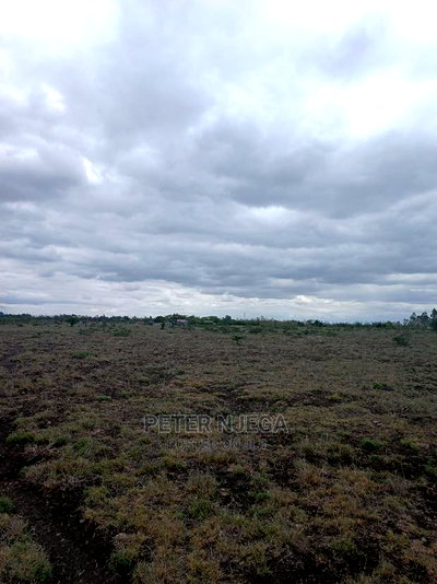 3 Acres in Freds Ranch Area - Image 5