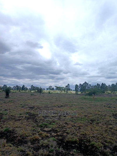 3 Acres in Freds Ranch Area - Image 2