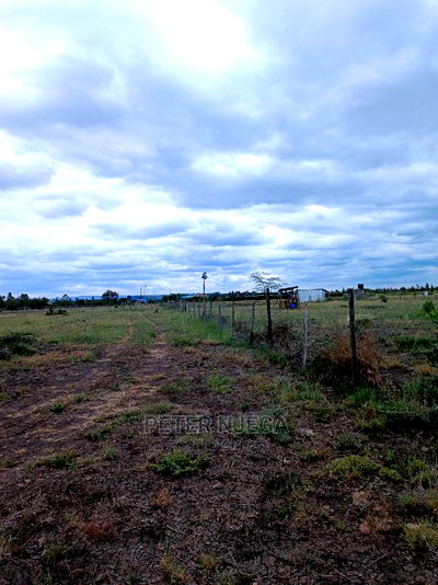 3 Acres in Freds Ranch Area - Image 14