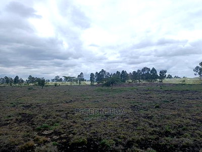 3 Acres in Freds Ranch Area - Image 13