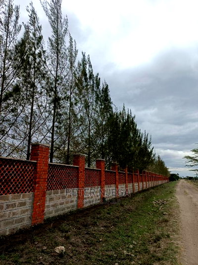 3 Acres in Freds Ranch Area - Image 10