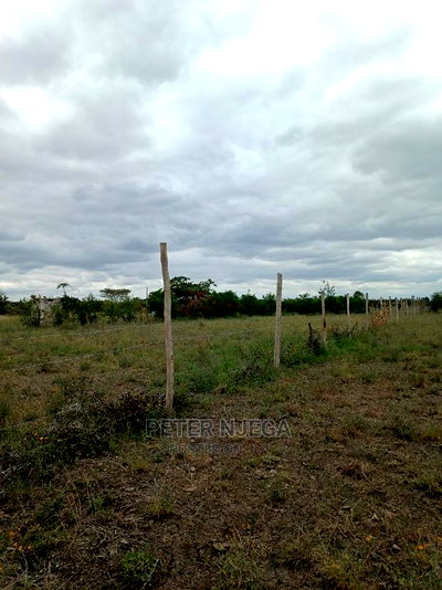3 Acres in Freds Ranch Area - Image 11