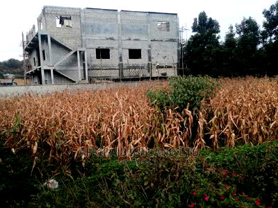 100x100 Ft Plot for Sale in Kikuyu Rusigiti - Image 1