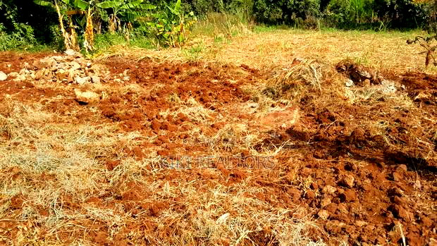 Kikuyu Ika Tano Near Waiyaki Way Plots for Sale