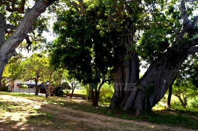 3.5 Acres Diani - Image 2