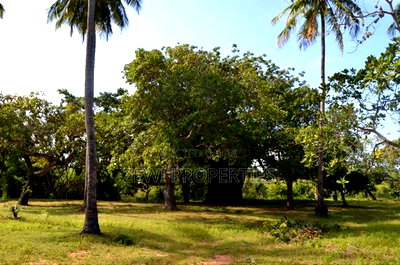 3.5 Acres Diani - Image 8