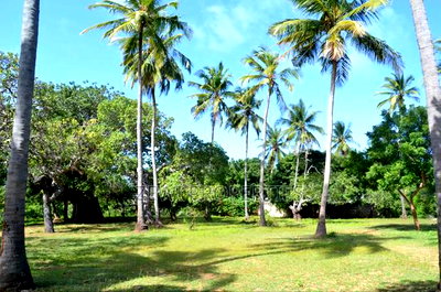3.5 Acres Diani - Image 1