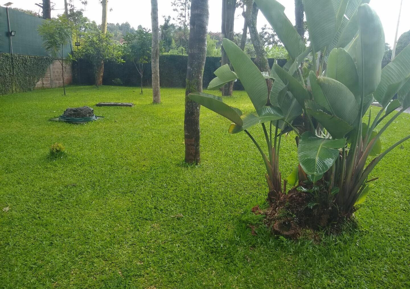 Half Acre Mansion at KSh 450K
