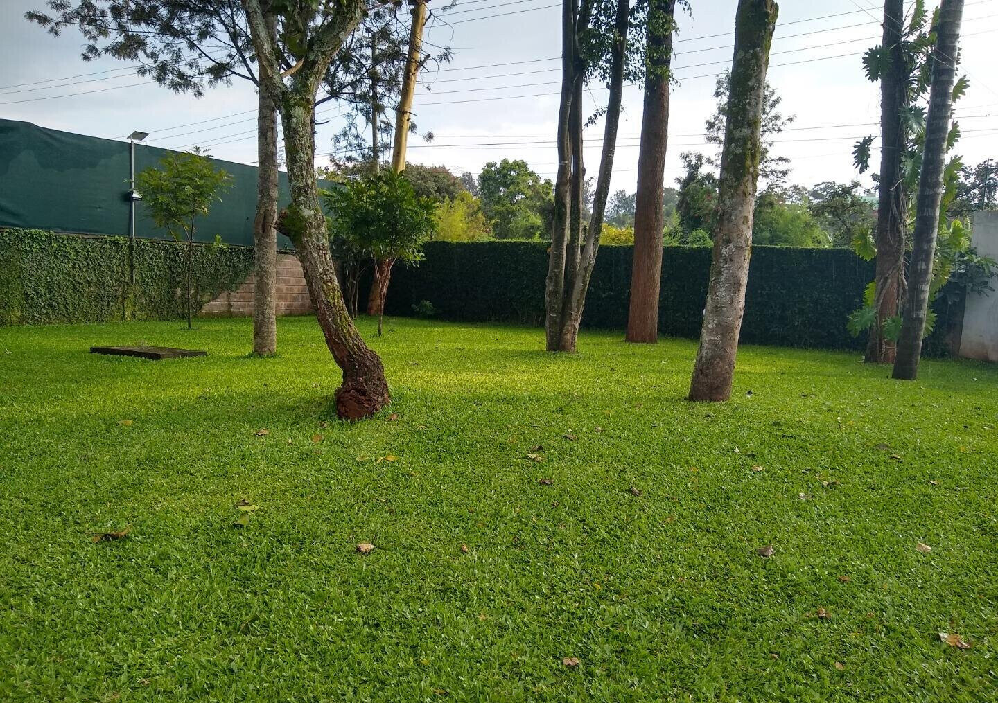 Half Acre Mansion at KSh 450K