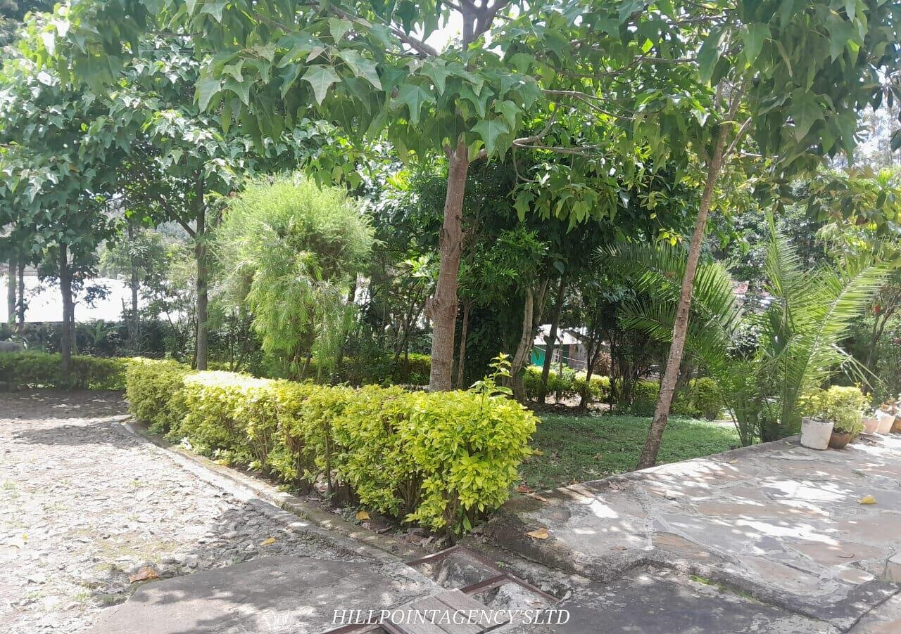Quarter Acre 3BR Garden Home at KSh 40K