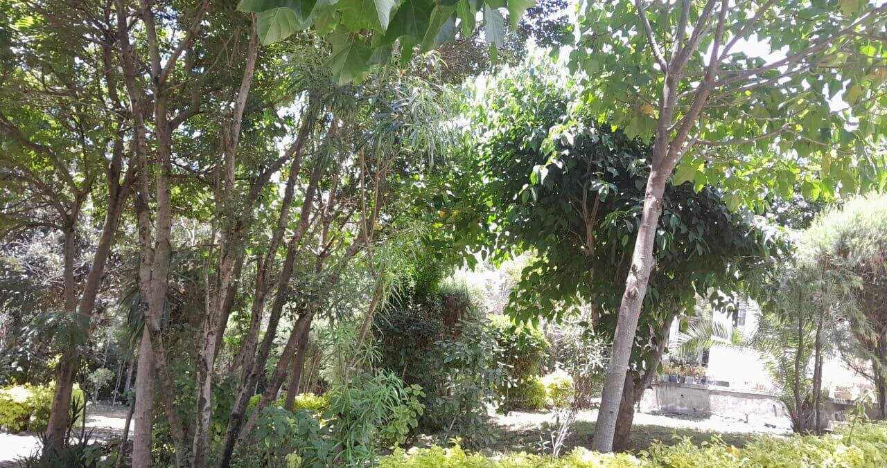 Quarter Acre 3BR Garden Home at KSh 40K