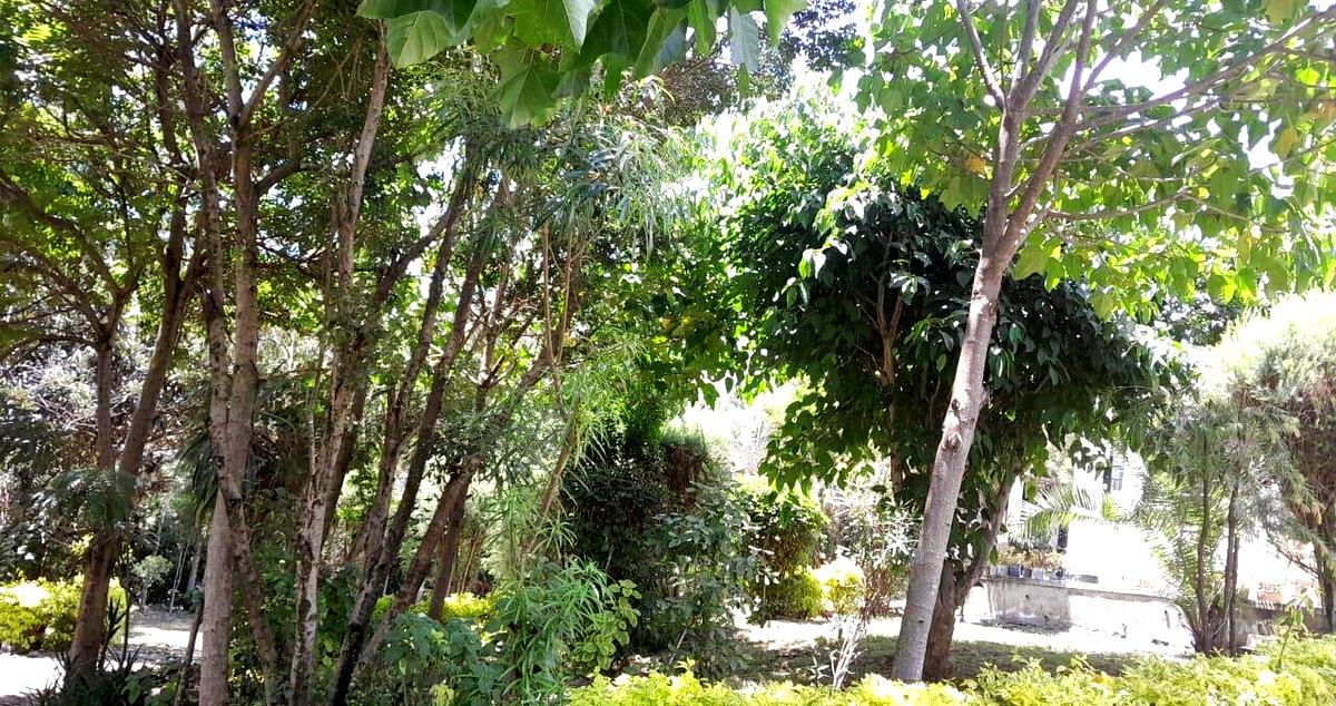 Quarter Acre 3BR Garden Home at KSh 40K