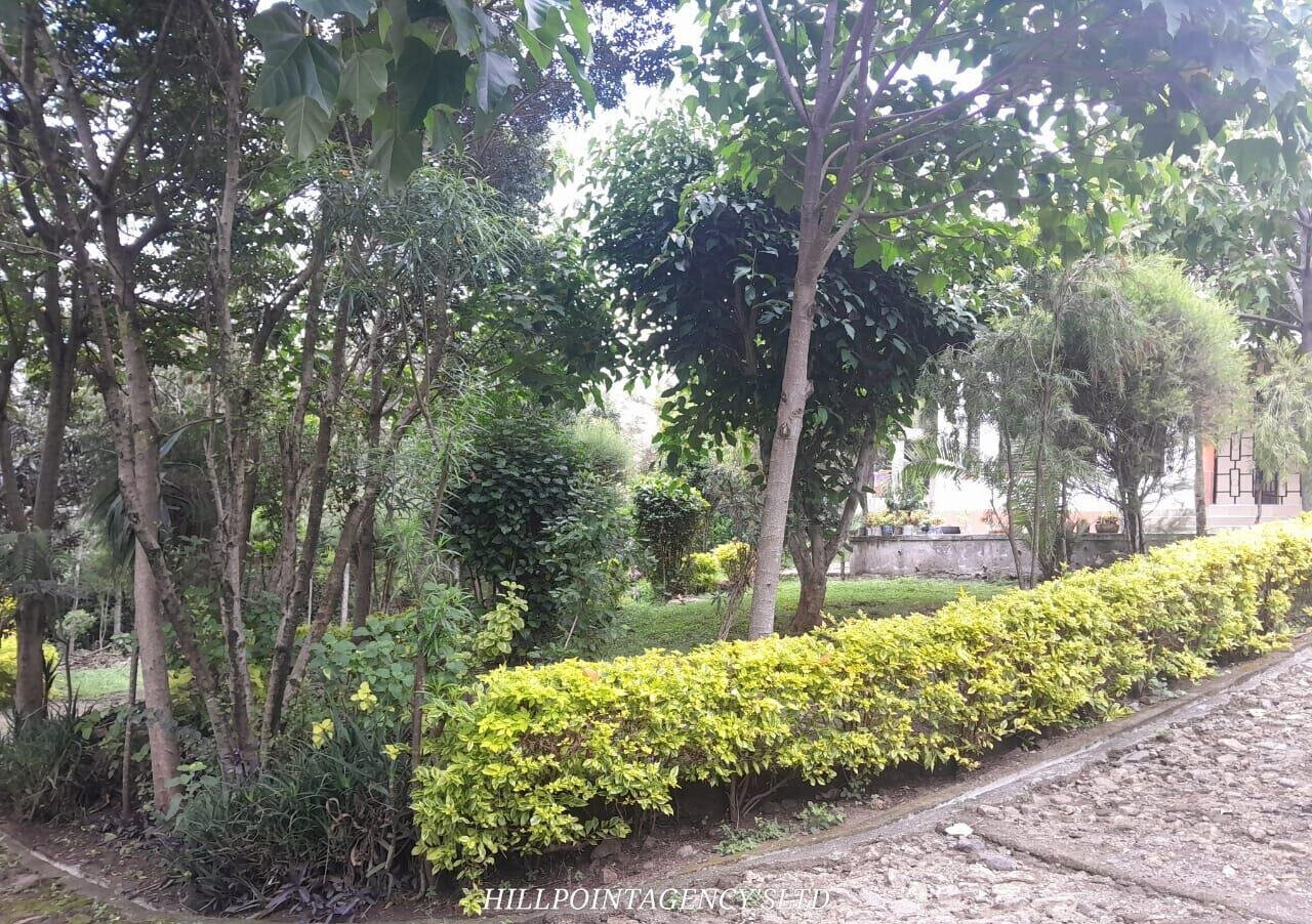 Quarter Acre 3BR Garden Home at KSh 40K