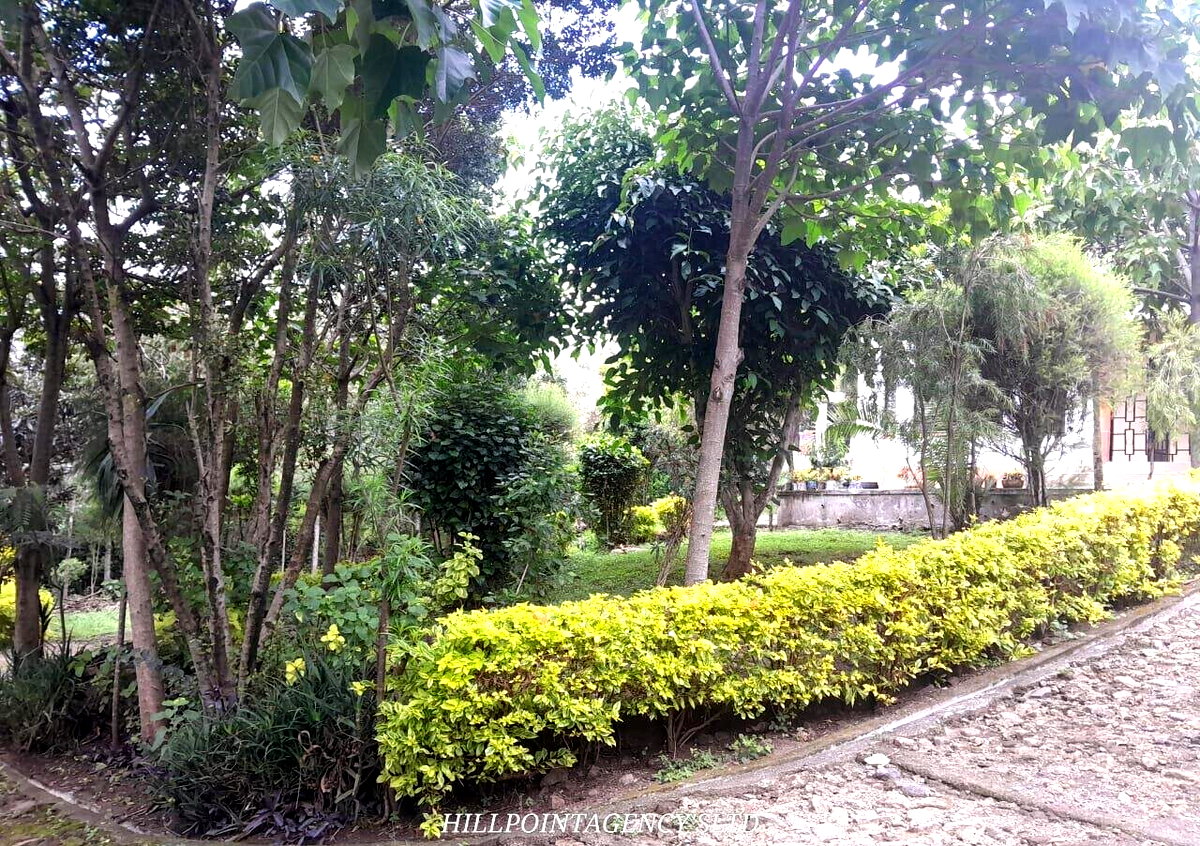 Quarter Acre 3BR Garden Home at KSh 40K