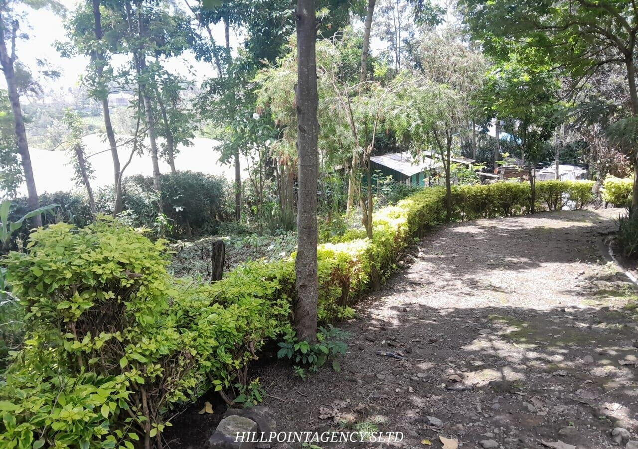 Quarter Acre 3BR Garden Home at KSh 40K