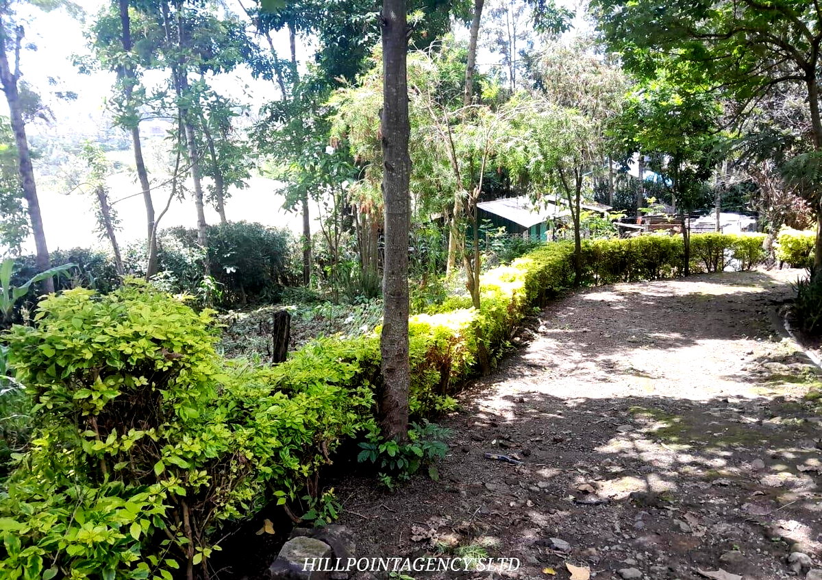 Quarter Acre 3BR Garden Home at KSh 40K