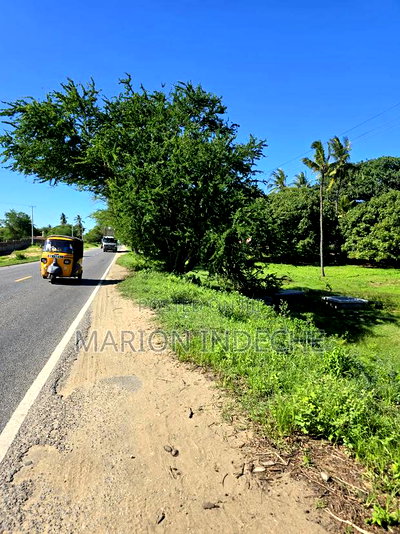 Prime Commercial Plot for Sale in Kilifi (1/2acre) - Image 2