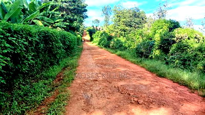 Muranga, 1 3/4 Acres, 3 Bedroom House. - Image 5