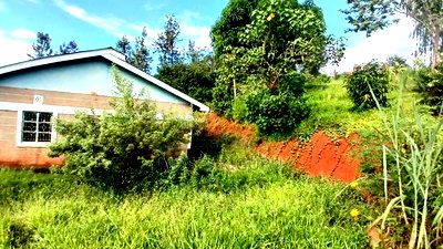 Muranga, 1 3/4 Acres, 3 Bedroom House. - Image 3