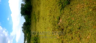 Bondo Maranda - Image 5