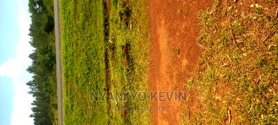 Bondo Maranda - Image 2