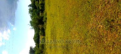 Bondo Maranda - Image 3