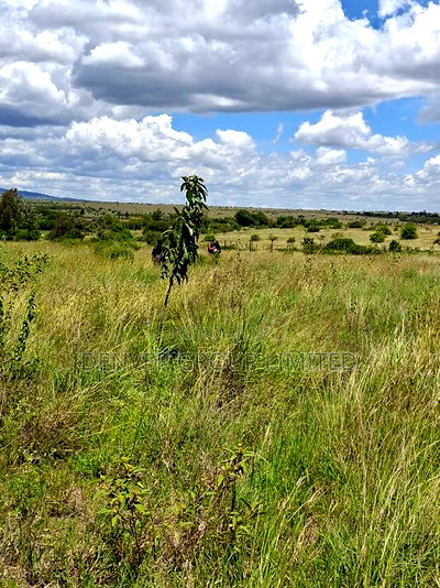 Crack Open the Best Prime Plots in Ruiru - Image 2