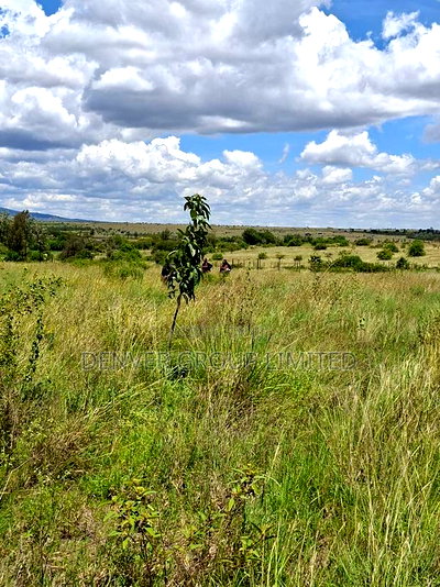 Crack Open the Best Prime Plots in Ruiru - Image 1