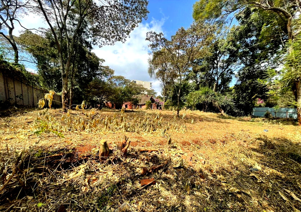 1.4-Acre Lavington Plot for KSh 400M